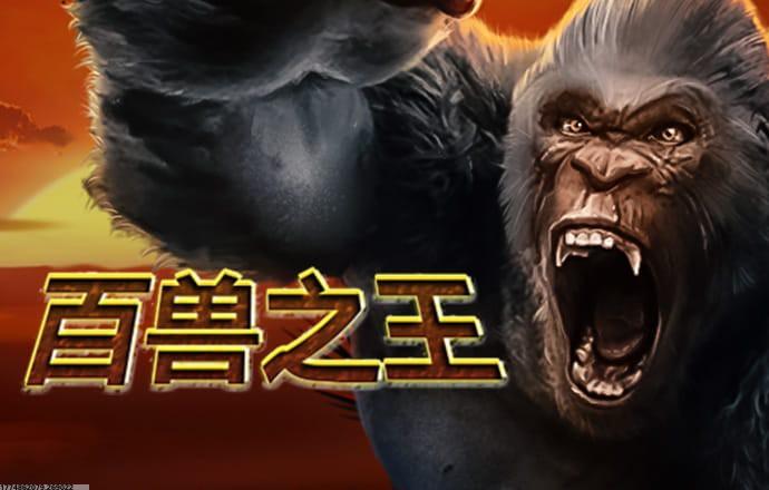 高频福利活动推送